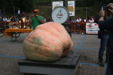 XXXVI Sfida Nazionale della zucca